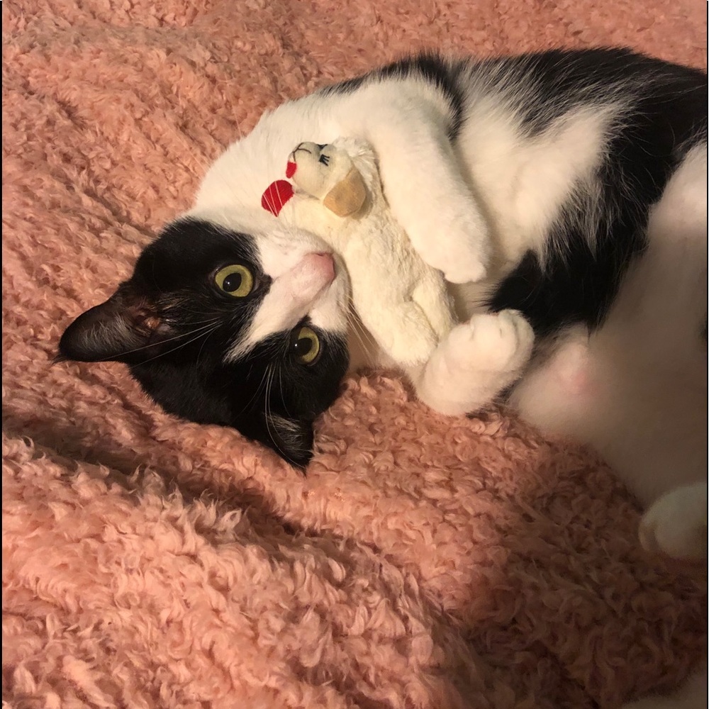 Meet your Posher, Alexie